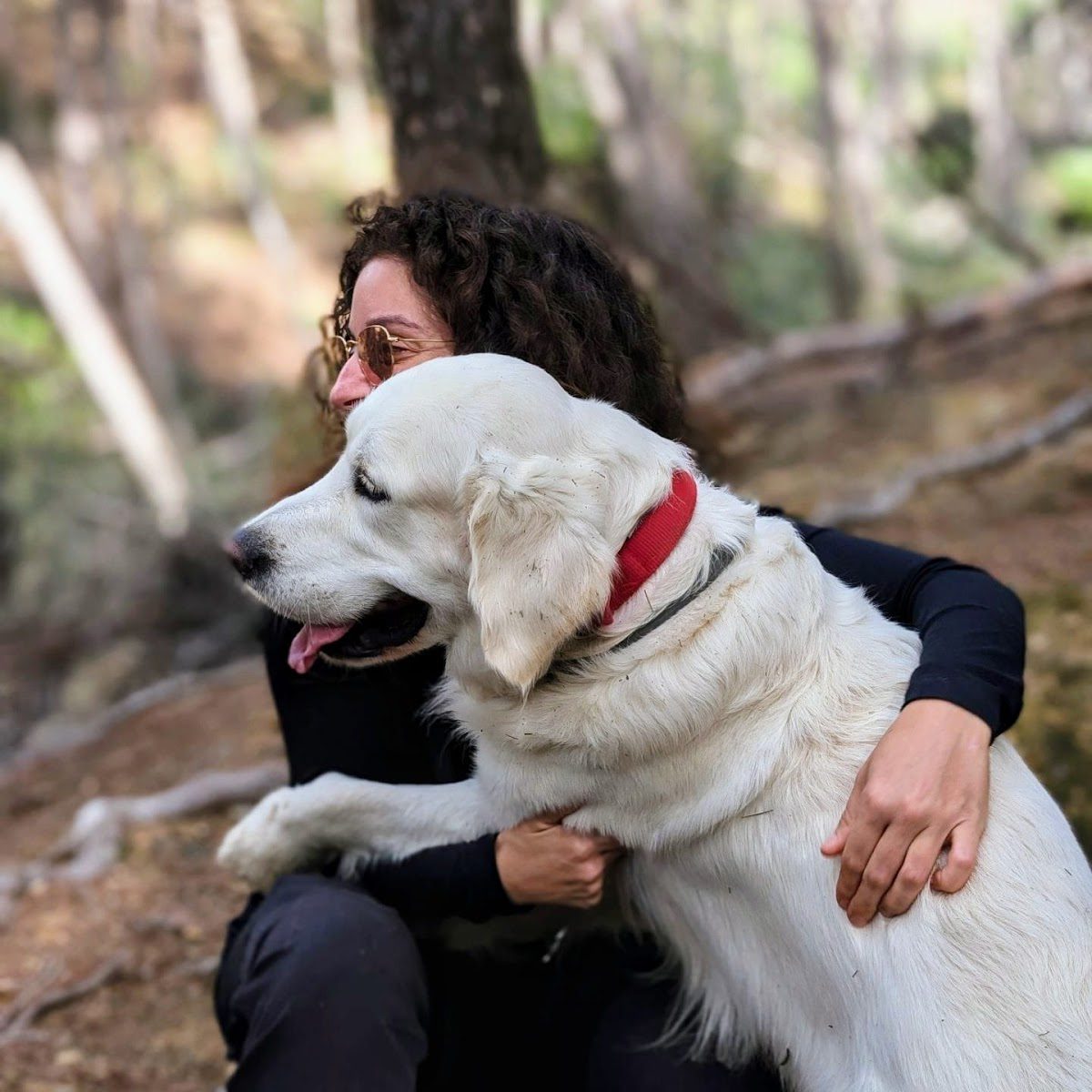 GoDog - Dog Training From Málaga to Nerja