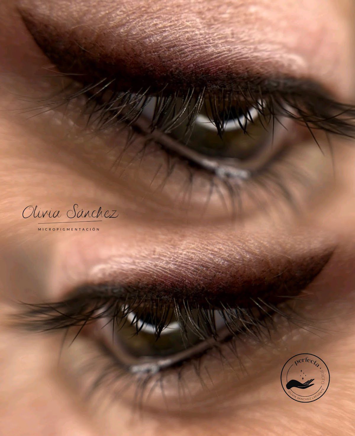 Harmony Estética & Micropigmentación