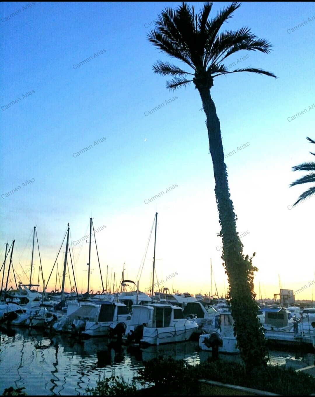 Puerto de Caleta de Vélez