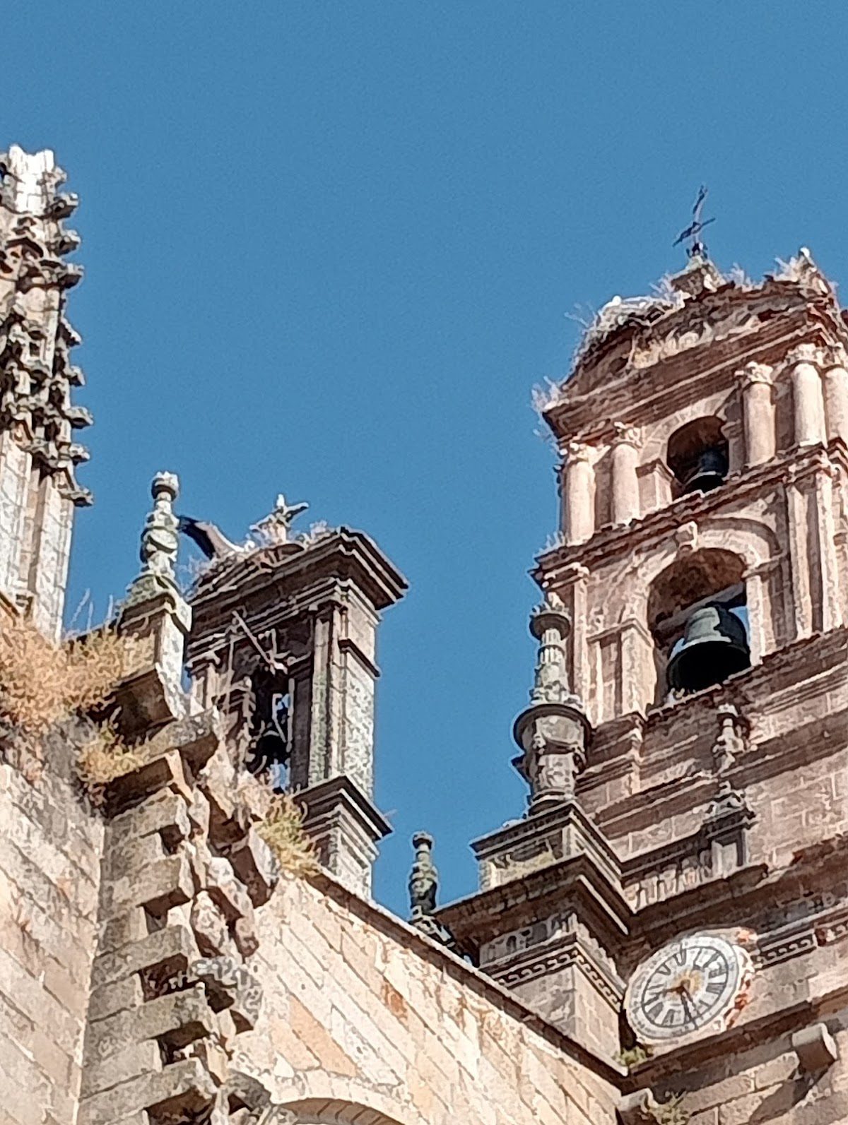 Viajes Muher S L