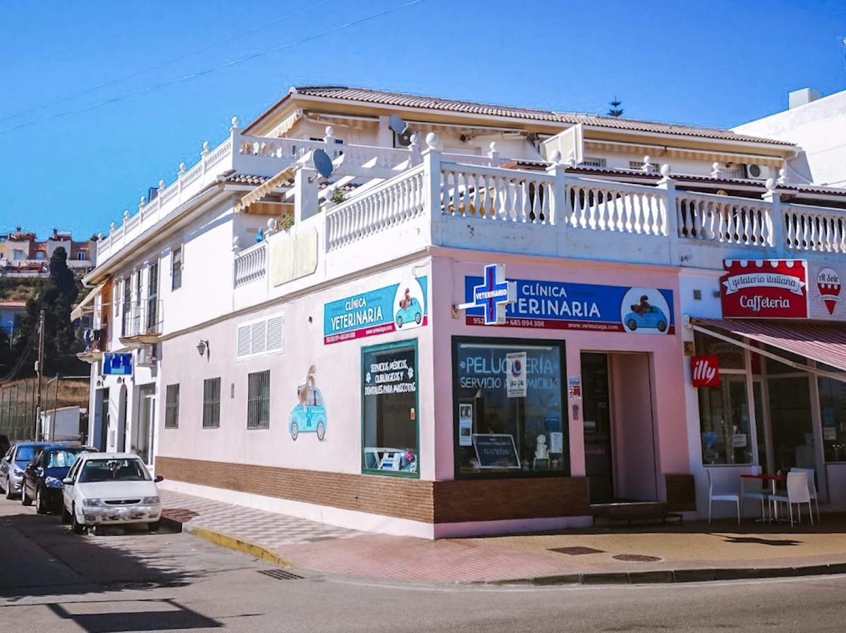 Veterinary Clinic VetMálaga