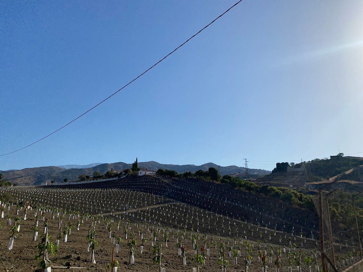 Cortijo Los Vargas