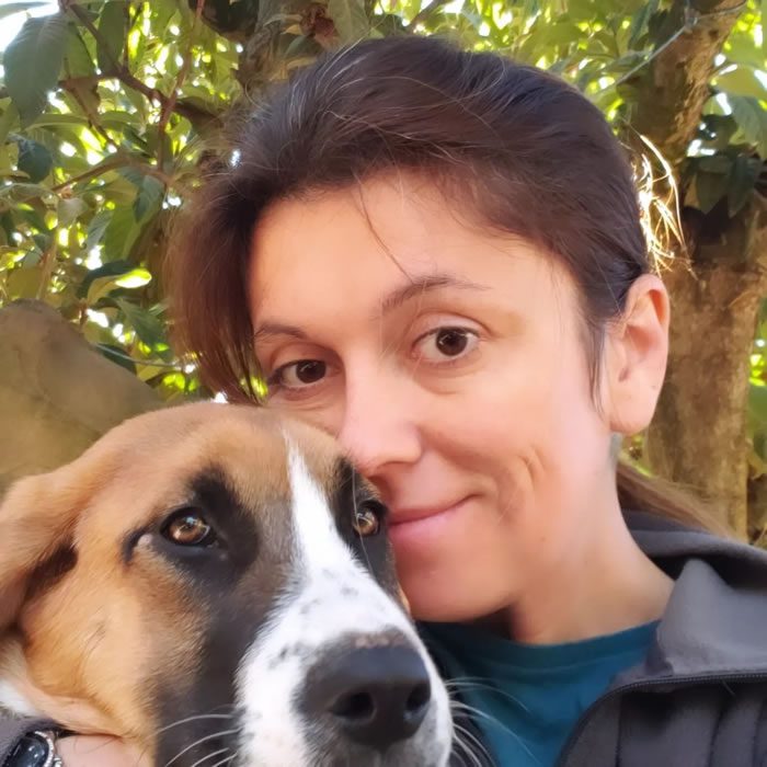 SunBeam Expert Dog Training: Compassionate, Science-Backed Solutions