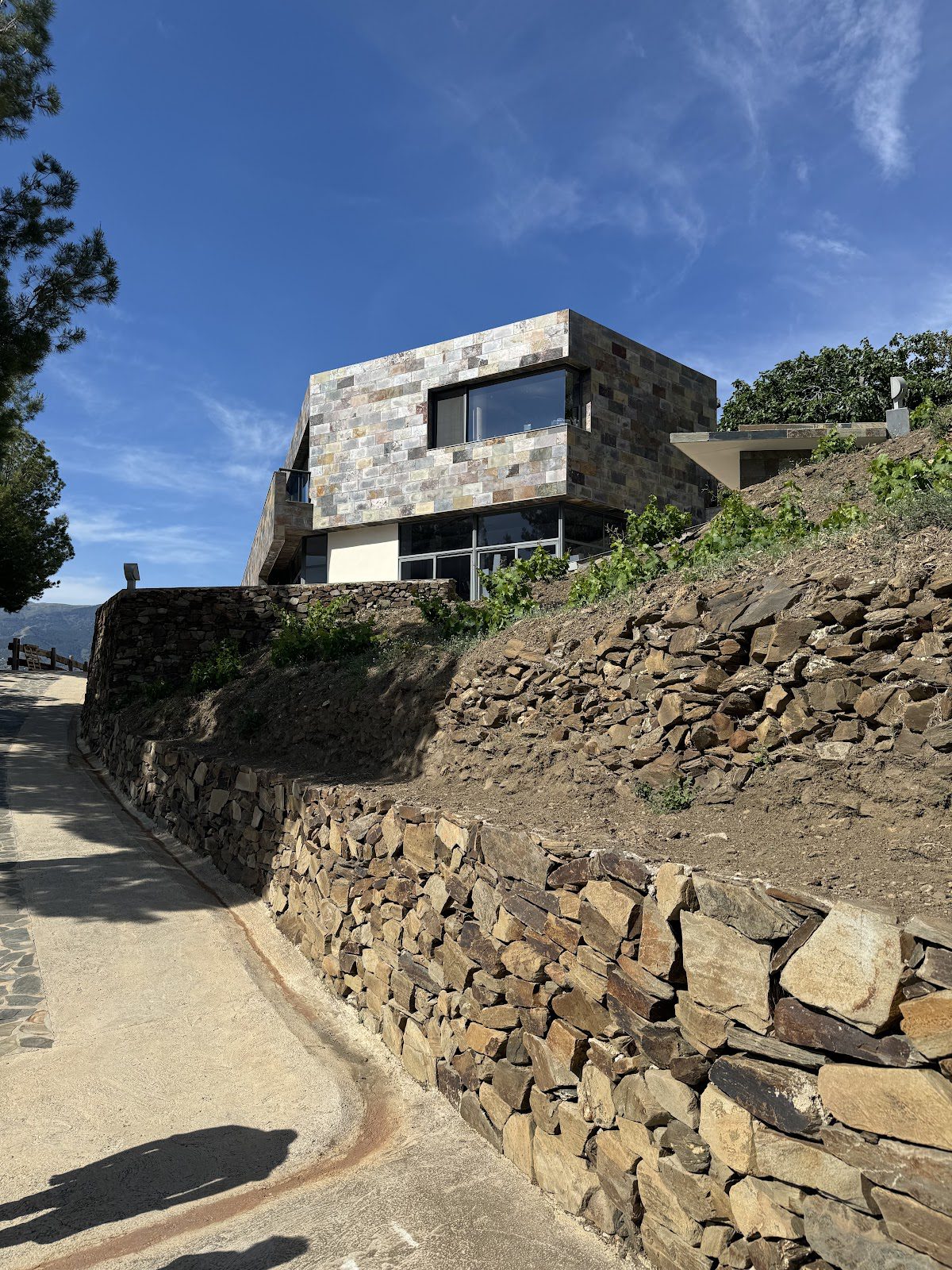 Bodegas Bentomiz