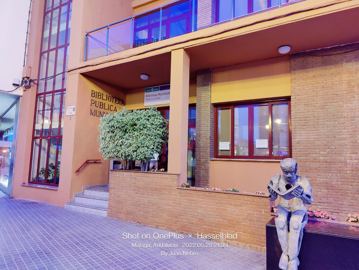 Biblioteca Pública Municipal Federico Vahey
