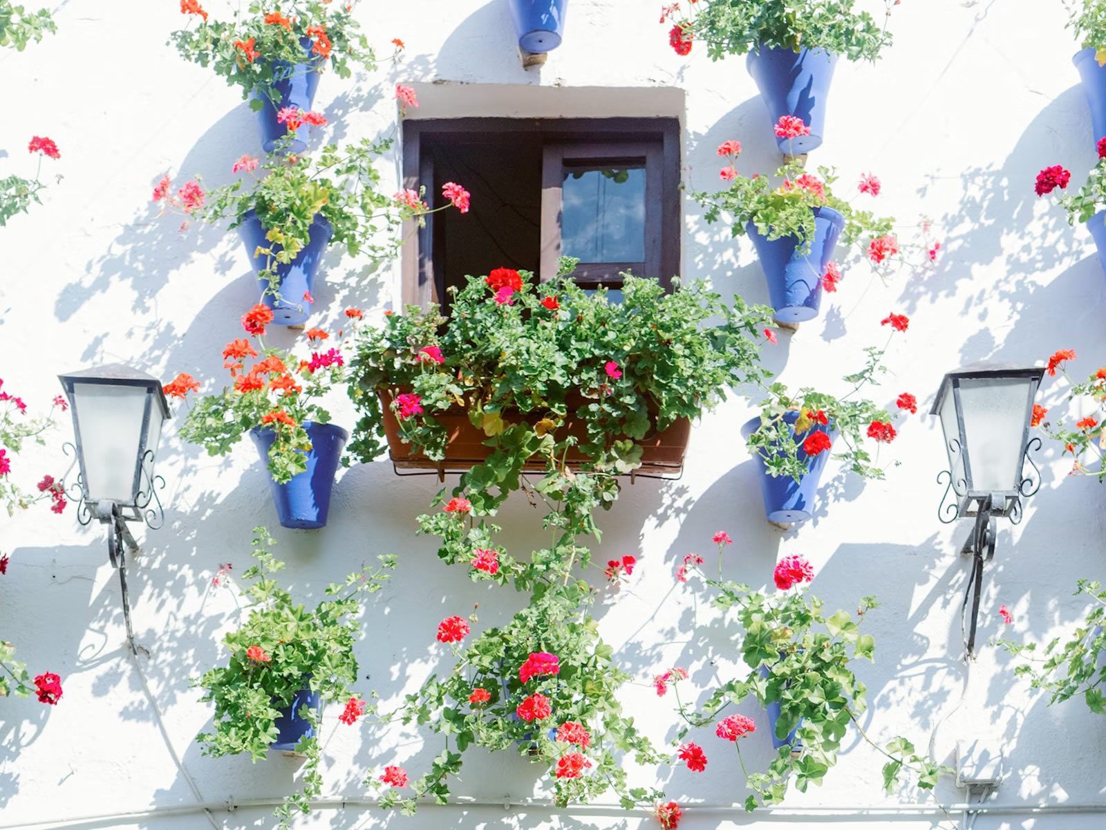 Living Like A Local - Essential Spanish Phrases For Expats In Torre Del Mar