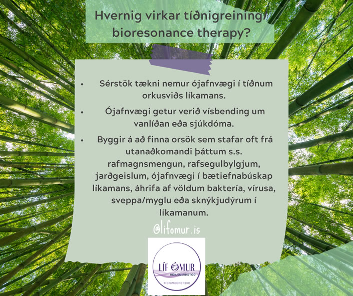 Tíðnimeðferðir – Bioresonance therapy mynd 6