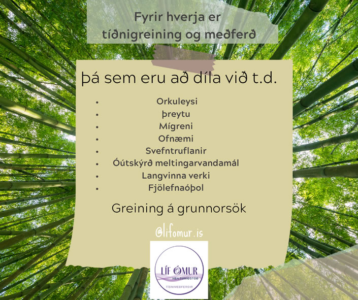 Tíðnimeðferðir – Bioresonance therapy mynd 3
