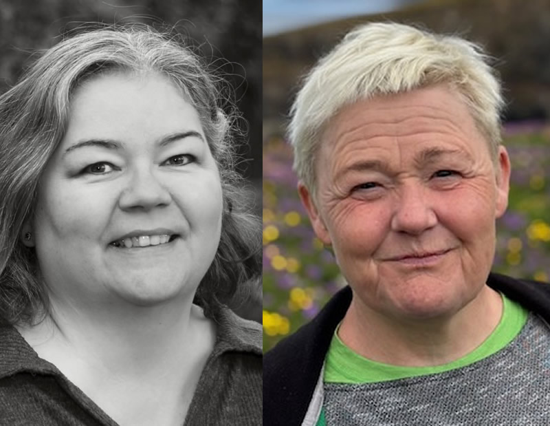 Fyrri lífa dáleiðsla
