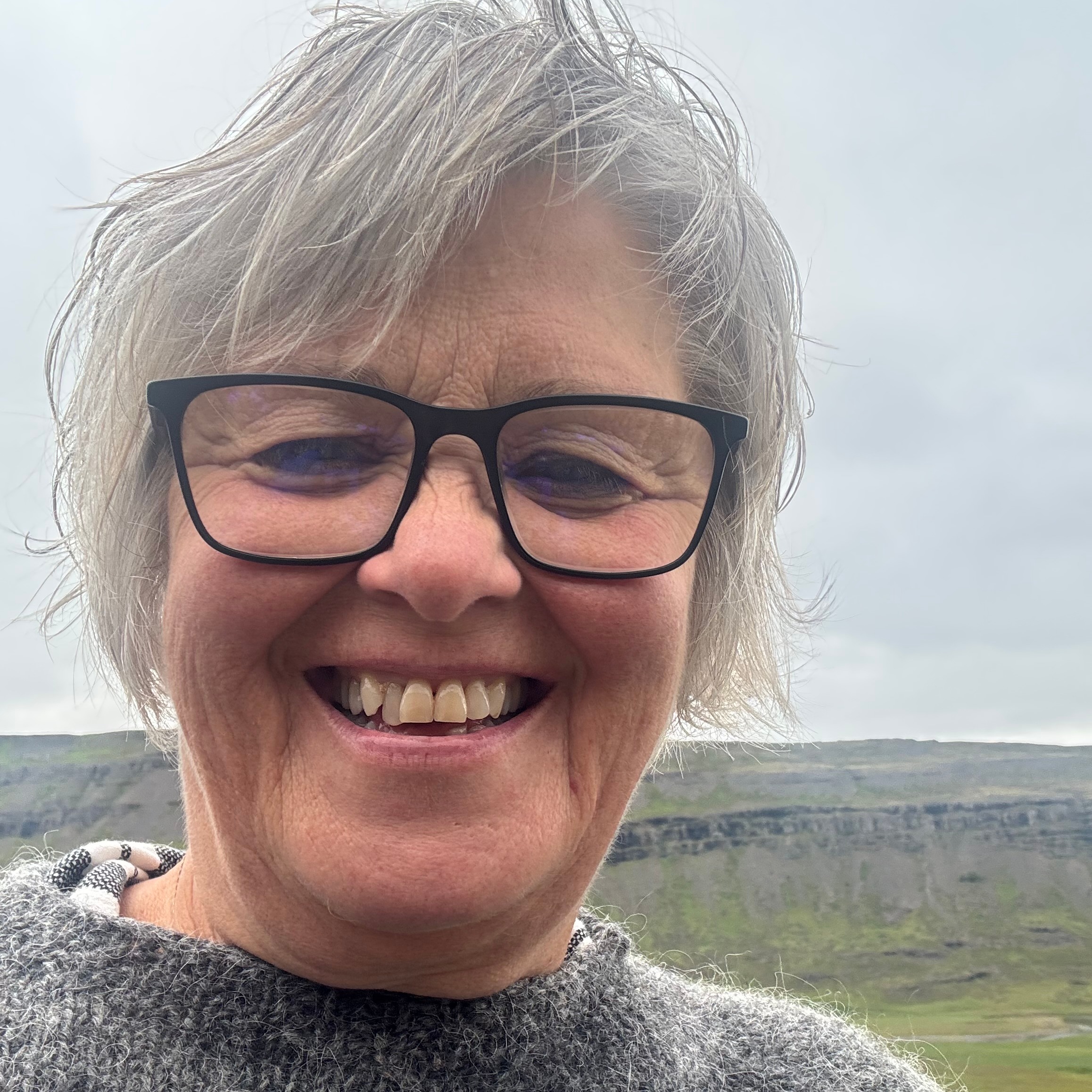 Art of Living á Íslandi og IAHV á Íslandi.